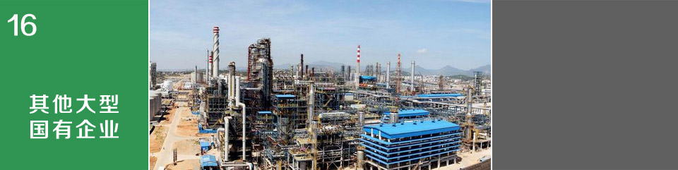 其他大型國有企業
