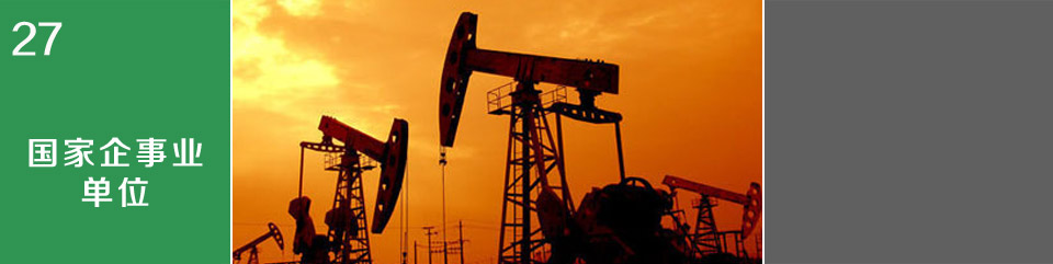 國家企事業(yè)單位