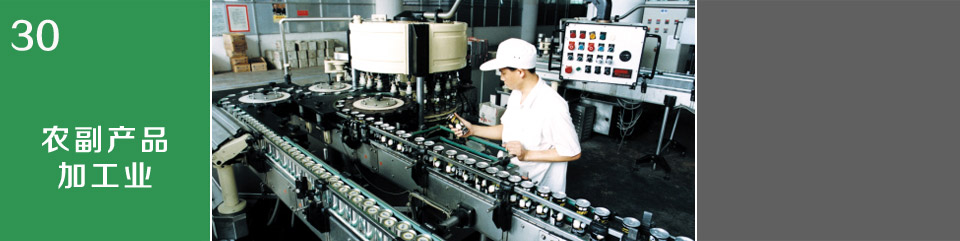 農(nóng)副食品加工業(yè)