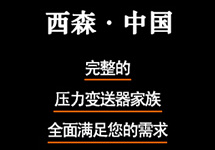 BST6800系列電容式壓力變送器 西森更懂您的需求