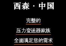 電容式壓力變送器廠家 西森用心解決您的煩惱