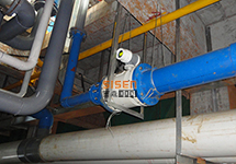 防爆型電磁流量計 西森專業滿足您現場需求