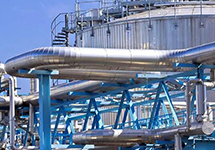 西森帶您從熱詞讀懂