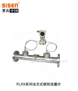 FLXX系列 楔形流量計(jì)