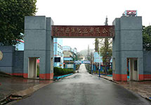 貴州污水流量計 西森和西洋肥業(yè)“約會”中