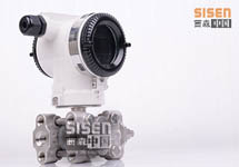 西森·中國(guó):BST系列差壓式物位儀表(一)