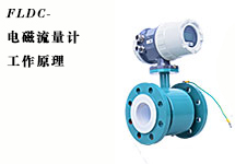 西森·中國(guó):FLDC系列電磁流量計(jì)工作原理