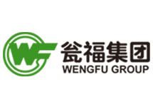 智能電磁流量計廠家 西森用心打動甕福集團