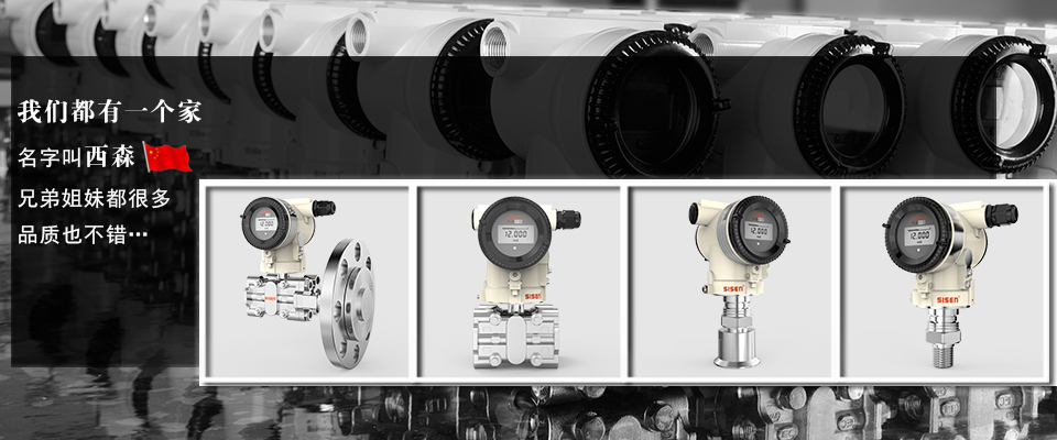 西森BST9900單晶硅壓力變送器 西森BST9900單晶硅壓力變送器