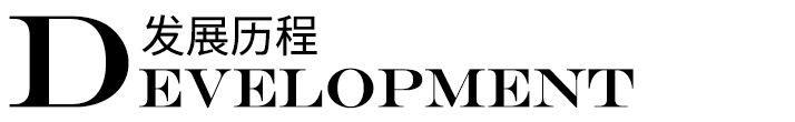發(fā)展歷程標(biāo)題