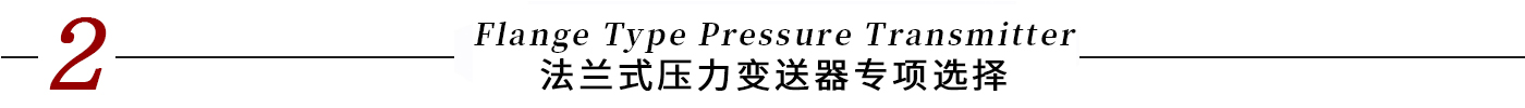 9900標(biāo)題-法蘭式壓力變送器