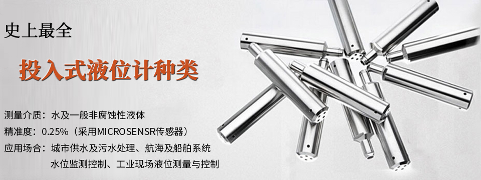 投入式液位計(jì)