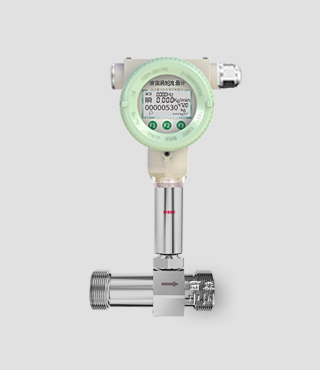 FLYW210系列防爆型液體渦輪流量計(jì)