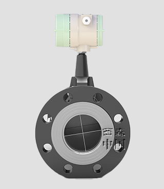 智能氣體旋進旋渦流量計