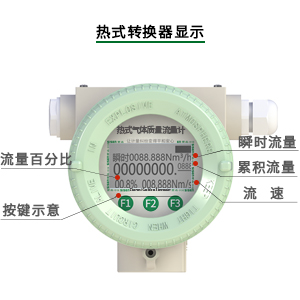熱式氣體質量流量計表頭顯示