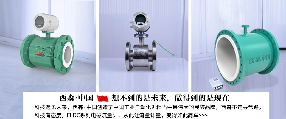 西森FLDC污水電磁流量計(jì)