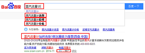 西森蒸汽流量計(jì) 西森蒸汽流量計(jì)