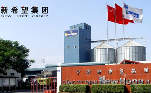 新希望集團向西森伸出橄欖枝 新希望集團向西森伸出橄欖枝