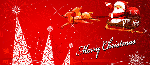 西森蒸汽流量計 圣誕節大放送 西森蒸汽流量計 圣誕節大放送