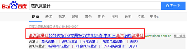 西森蒸汽流量計 西森蒸汽流量計