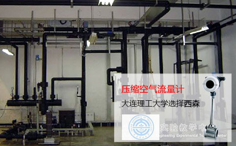 壓縮空氣流量計(jì) 大連理工大學(xué)選擇西森