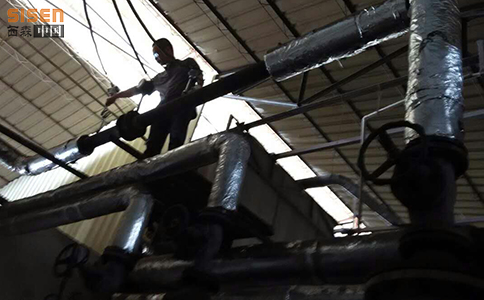 西森卡裝渦街流量計 西森卡裝渦街流量計