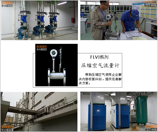 西森-FLVJ壓縮空氣流量表 西森-FLVJ壓縮空氣流量表