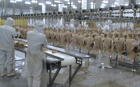 西森自動化 西森自動化