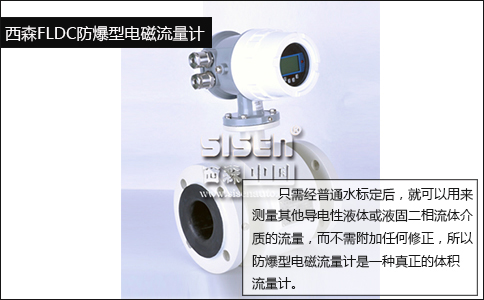 西森FLDC電磁流量計 西森FLDC電磁流量計