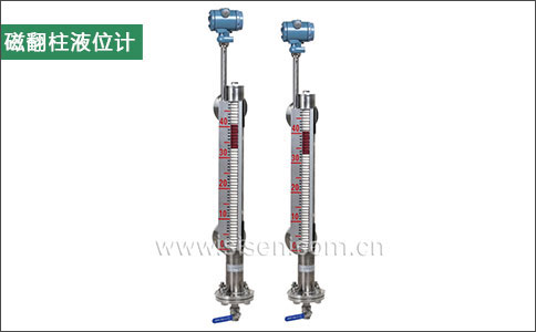 磁翻柱液位計-西森 磁翻柱液位計-西森