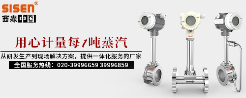 1624527739874603.jpg 用心計量每1噸蒸汽.jpg