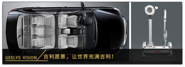 1624852697399922.jpg 吉利愿景.jpg