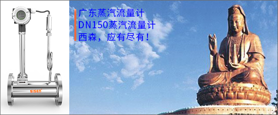 1624866352622426.jpg 廣東蒸汽流量計.jpg