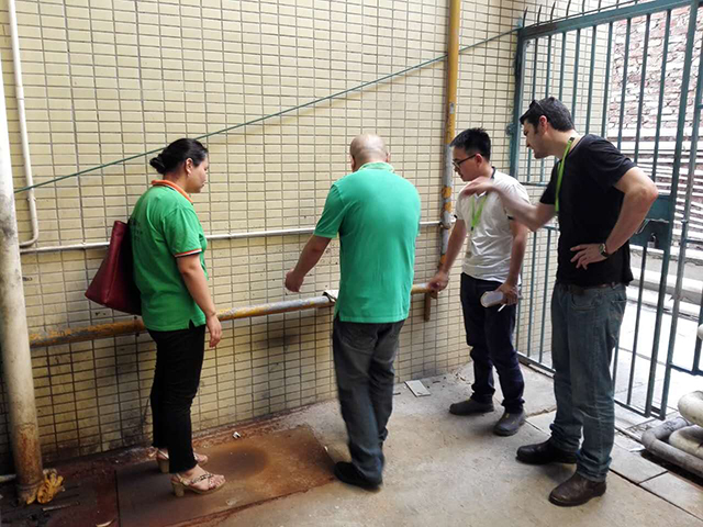 圖片關(guān)鍵詞