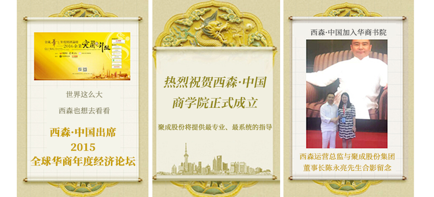 西森雷達(dá)物位計(jì)