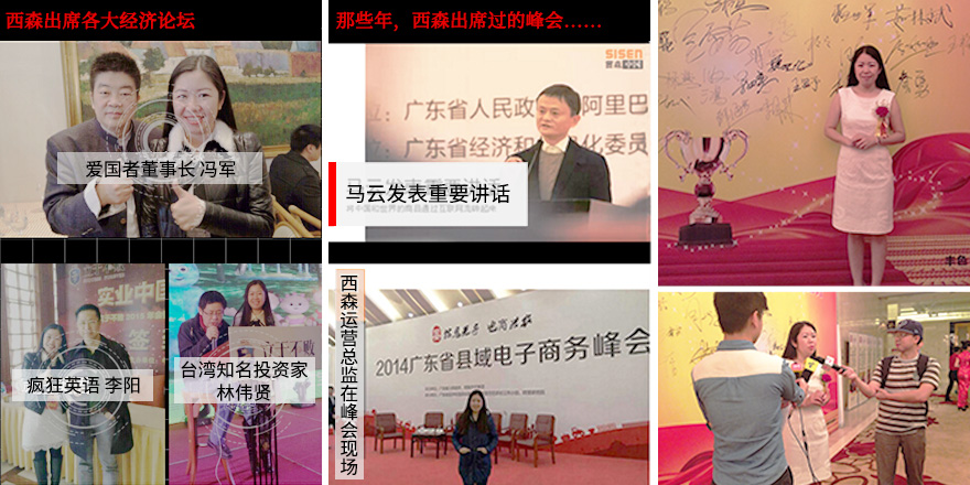 西森雷達(dá)物位計(jì)