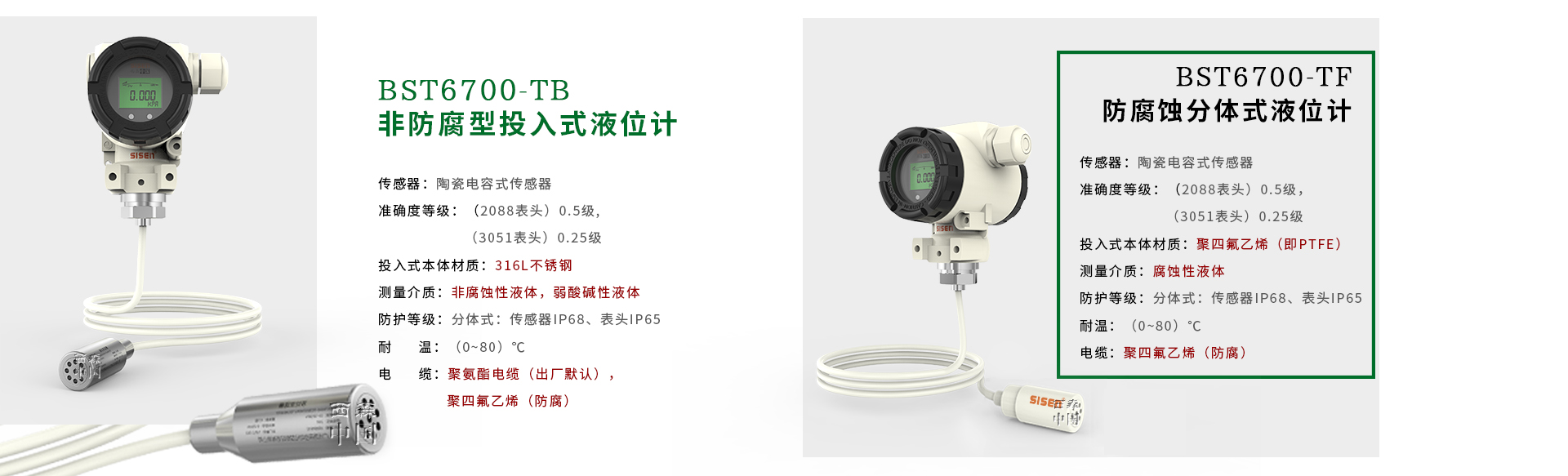 BST6700防腐蝕分體式液位計(jì)