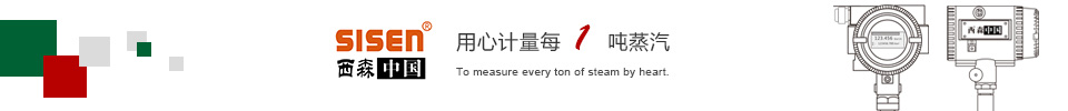 渦街流量計工藝圖